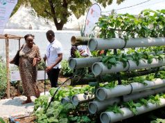 Can Finance Drive Resilient and Sustainable Food Systems? Can Finance Drive Resilient and Sustainable Food Systems