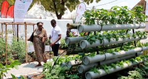 Can Finance Drive Resilient and Sustainable Food Systems? Can Finance Drive Resilient and Sustainable Food Systems