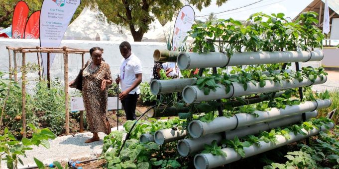 Can Finance Drive Resilient and Sustainable Food Systems