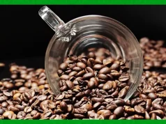 Reforms Key to Reviving Kenya’s Manufacturing Sector Reforms Key to Reviving Kenya's Manufacturing Sector