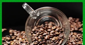 Reforms Key to Reviving Kenya’s Manufacturing Sector Reforms Key to Reviving Kenya's Manufacturing Sector