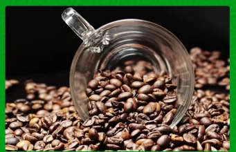 Reforms Key to Reviving Kenya’s Manufacturing Sector Reforms Key to Reviving Kenya's Manufacturing Sector